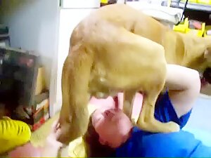 300px x 225px - Dog XXX Video] Ryyna - Blonde Gets Licked By A Really Horny Dog Part 2 -  ZooSkool Videos - Bestiality sex