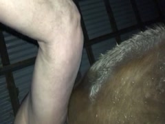 Mare Pussy Gets Fucked - Pounding mare pussy - ZooSkool Videos - Bestiality sex