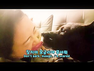 KOREA traditional dog JINDO VS hooman
