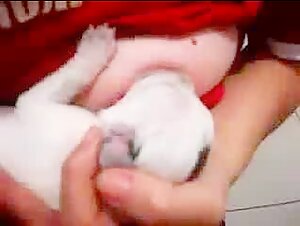 Woman Breastfeeding a Puppy 11