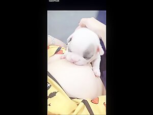 Woman Breastfeeding a Puppy 13