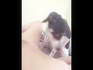 Dog licks pussy mommys