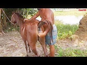 anus clitoris filly fist fisting tail mare