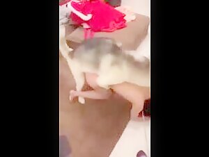 dog fuck chinese woman