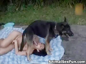 zoo dog