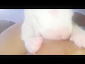 Mother breastfeeding a puppy 3