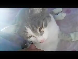 woman breastfeed cat