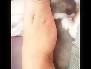 Mother breastfeeding a puppy 7