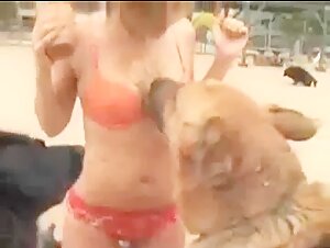 Dog Park Dare