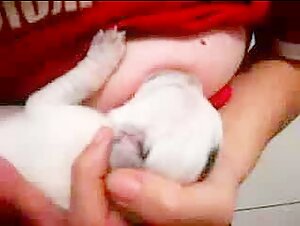Nursing