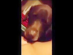 dog lick pussy