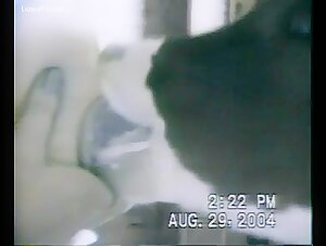 Breastfeeding calf
