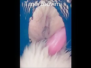 Thumb 9