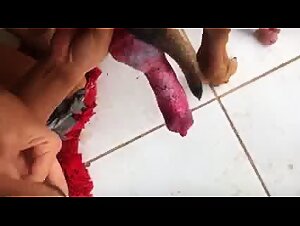 Thumb 6