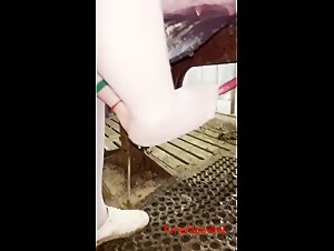 Chinese pig semen lover foot job boar